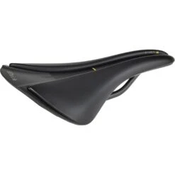 Fizik Selle Aliante 00 Versus EVO