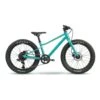 BMC Twostroke AL 20 Taille Enfant 110-135cm Homme Turquoise 2 BMC Twostroke AL 20 Taille Enfant 110-135cm Homme Turquoise -Pédale Libre main 30001131 0 1938